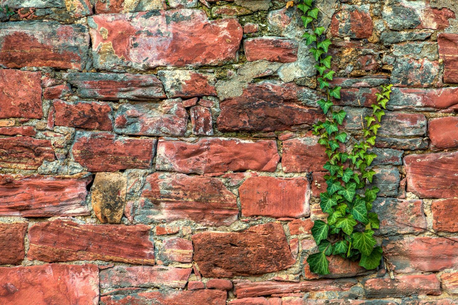 Grunge Stone Brick Wall Background Texture photo