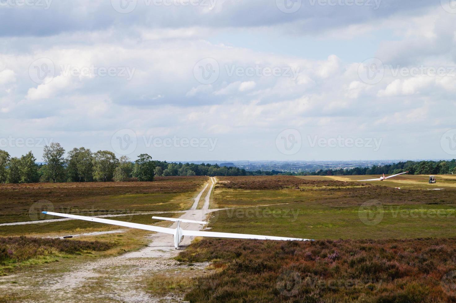 En la reserva natural fischbeker heide junto a Hamburgo, Alemania foto