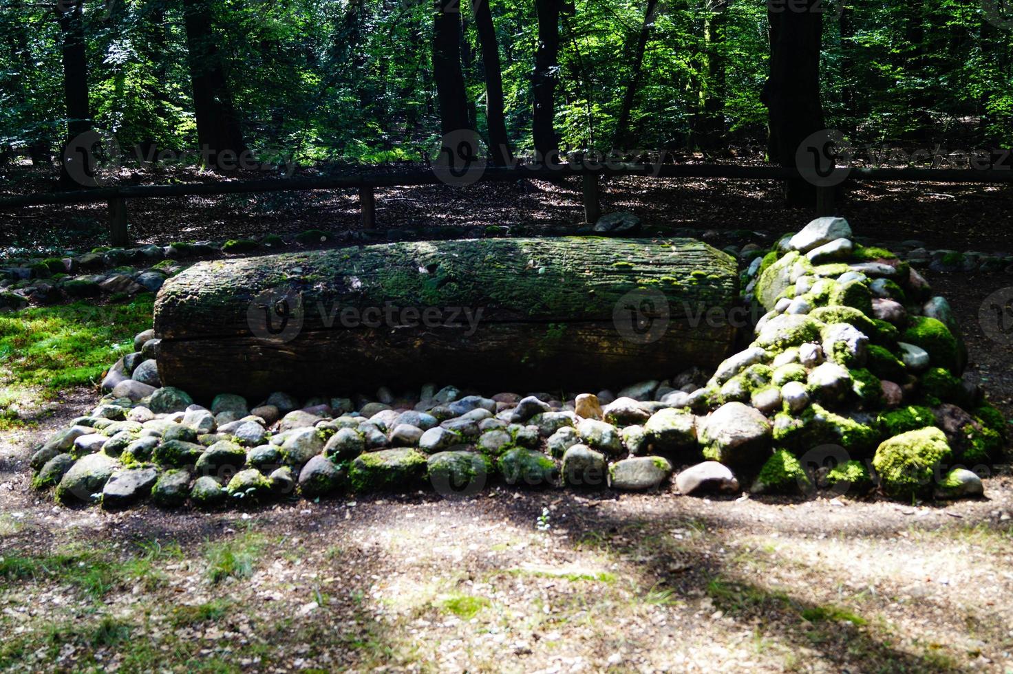 In the nature reserve Fischbeker Heide next to Hamburg Germany photo