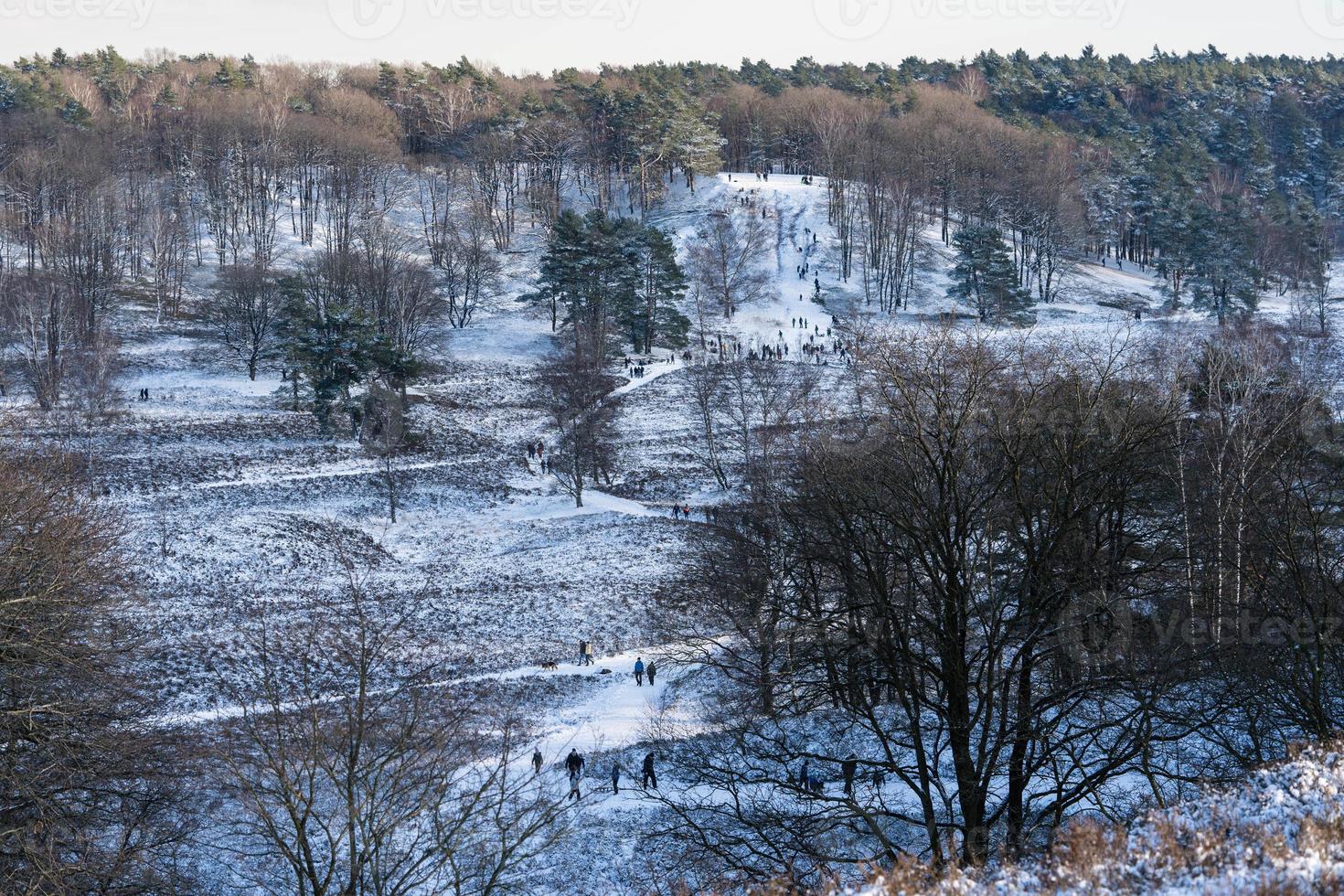 In the nature reserve Fischbeker Heide next to Hamburg Germany photo