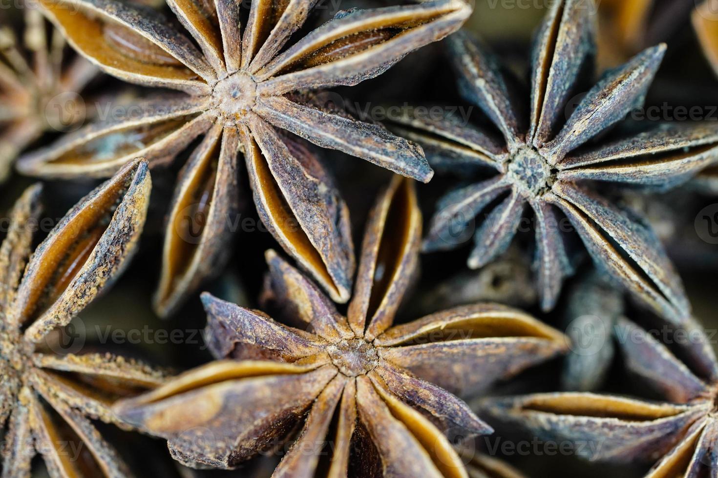 brown anise stars on olive wood photo