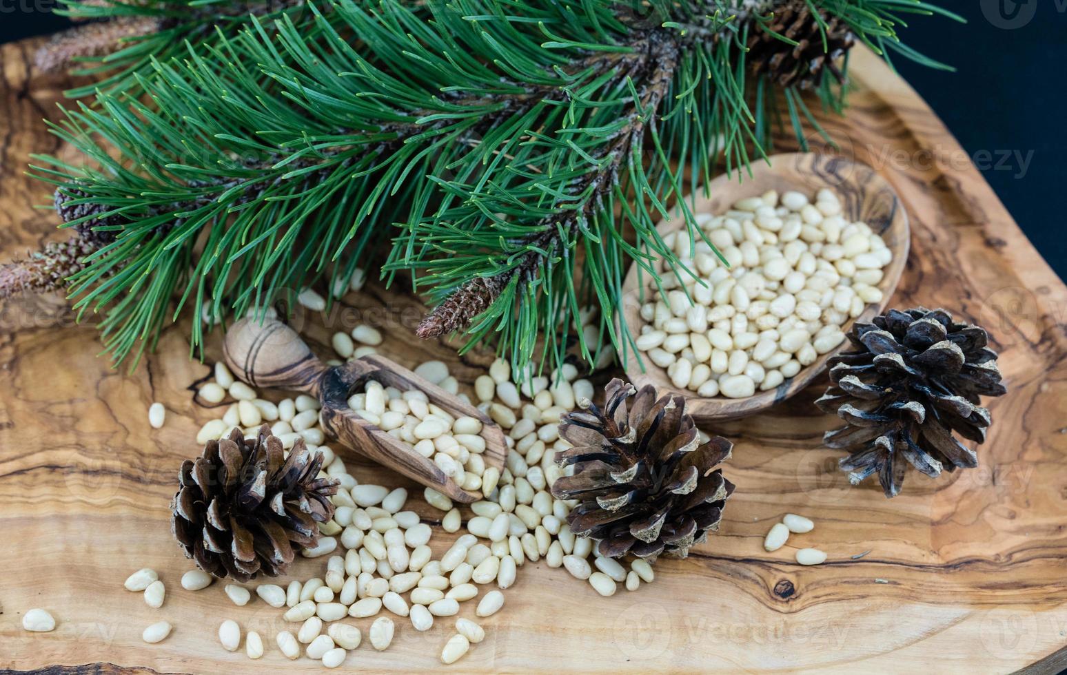 Cedar cones and nuts photo