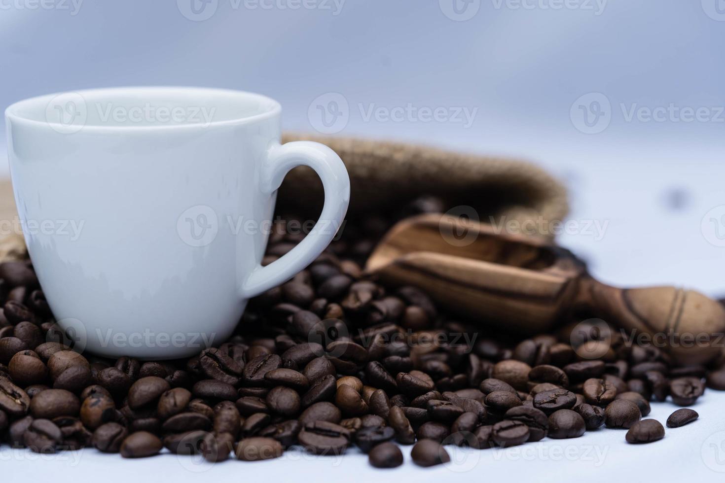 roasted Coffee beans and a vitage coffee grinder photo