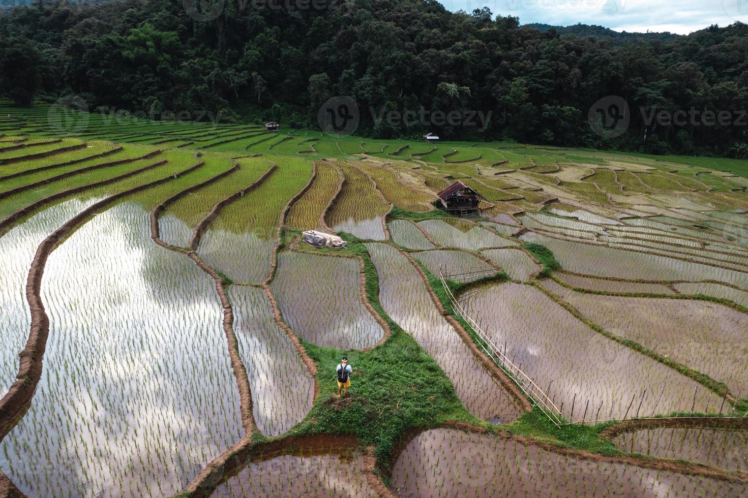 Rice fields before planting from above photo