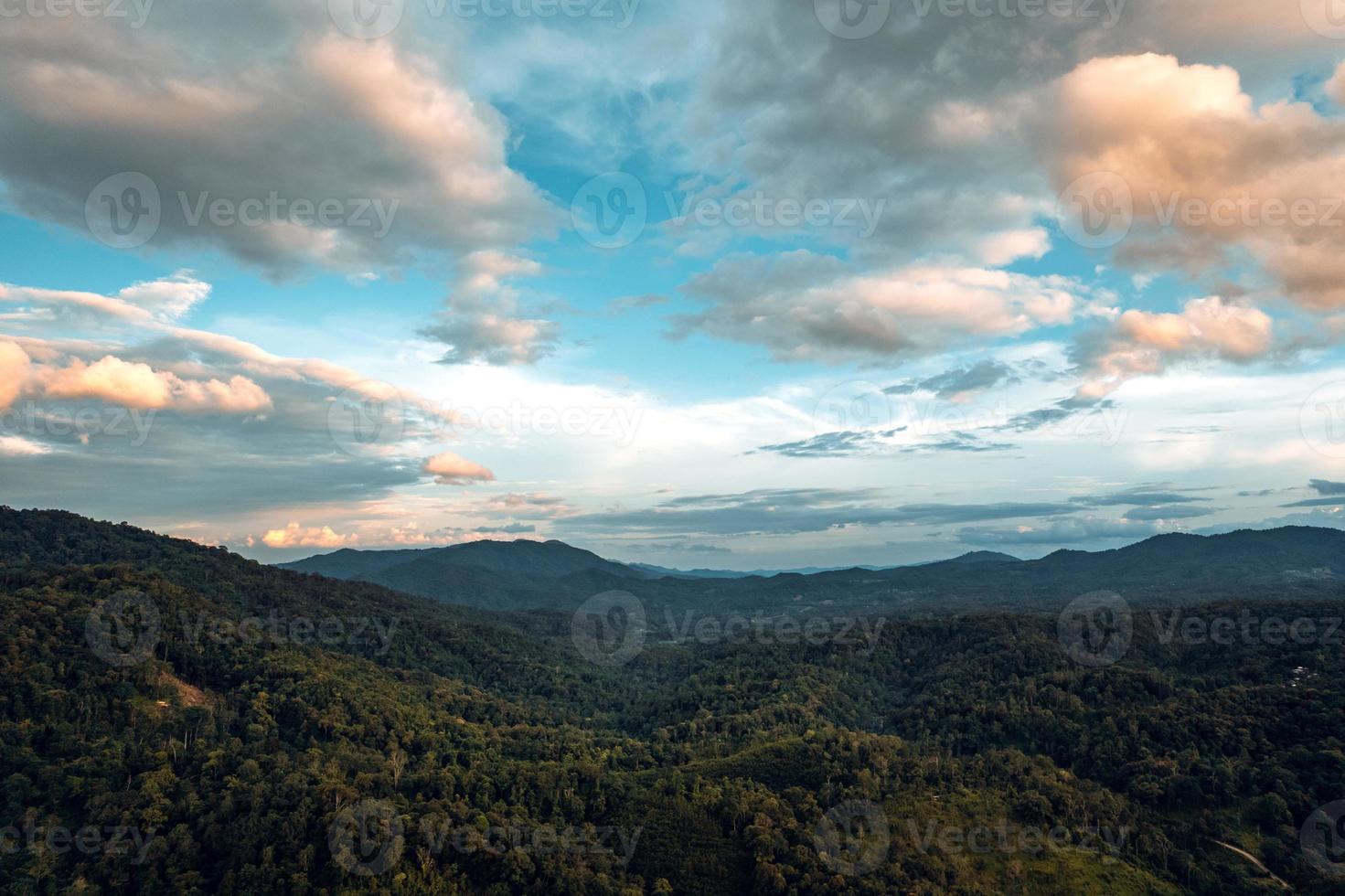 mountains and green forest in the evening photo