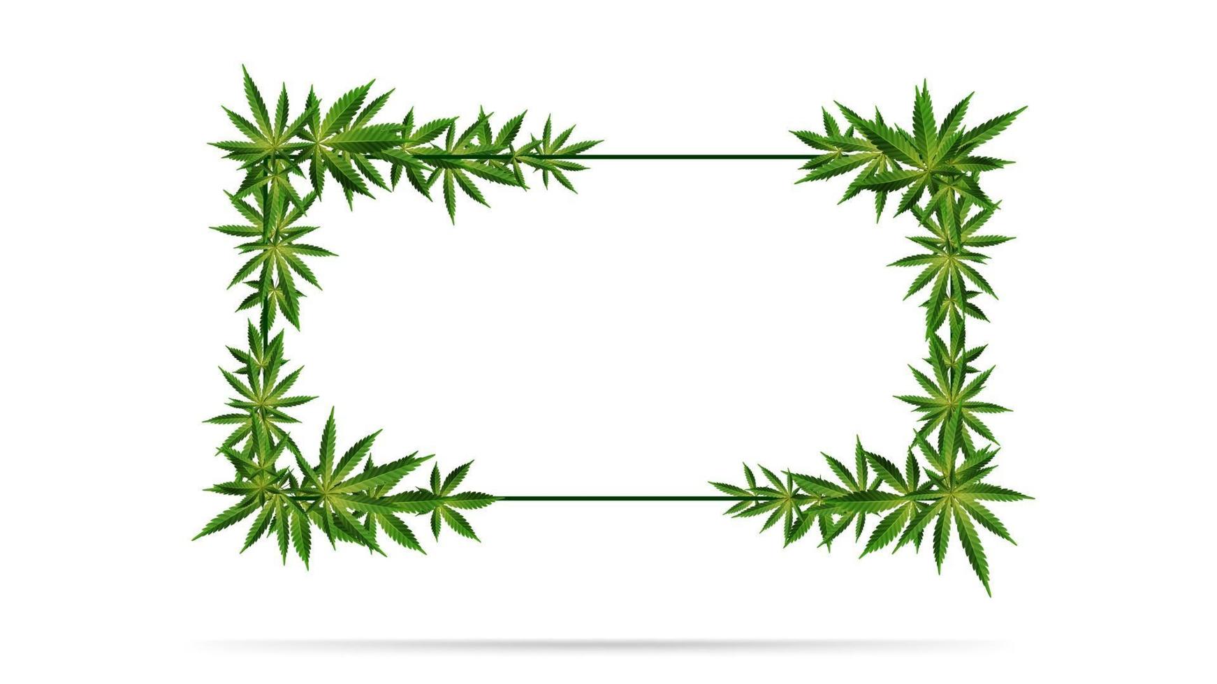 Plantilla de marco decorado con hojas de cannabis aislado en blanco vector