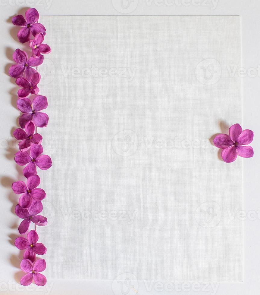 Background with copy space blank on table with lilac purple flower. photo