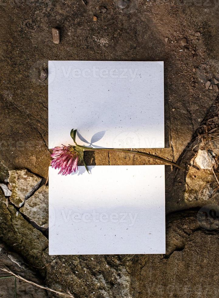 Wedding details flat lay. Wedding invitation. Mock up. Clover. photo