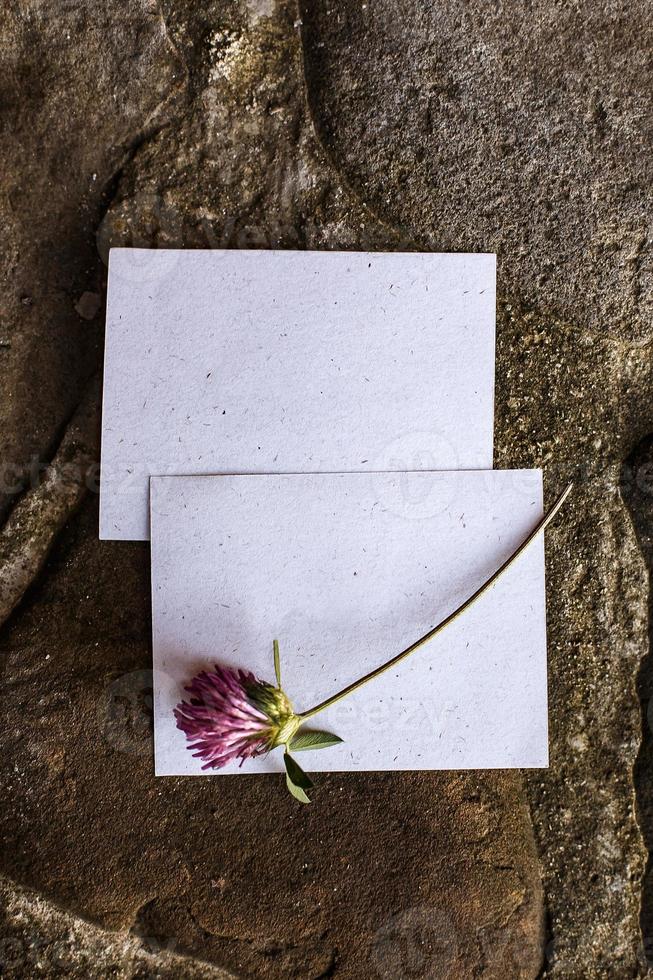 detalles de boda planos laicos. invitación de boda. Bosquejo. trébol. foto