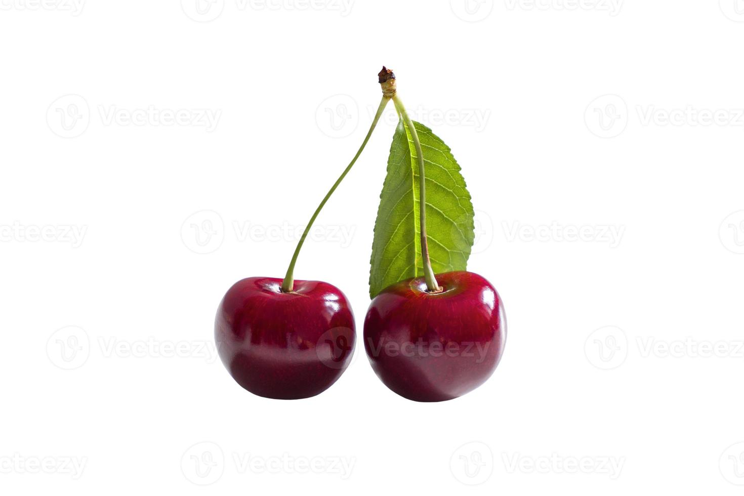 cherries isolated on white background clipping path photo