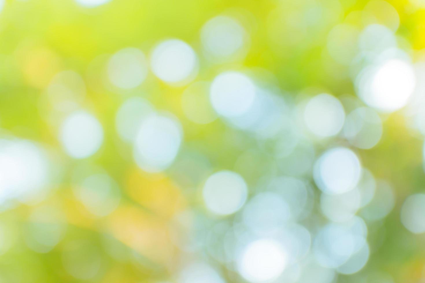 Green bokeh background. photo