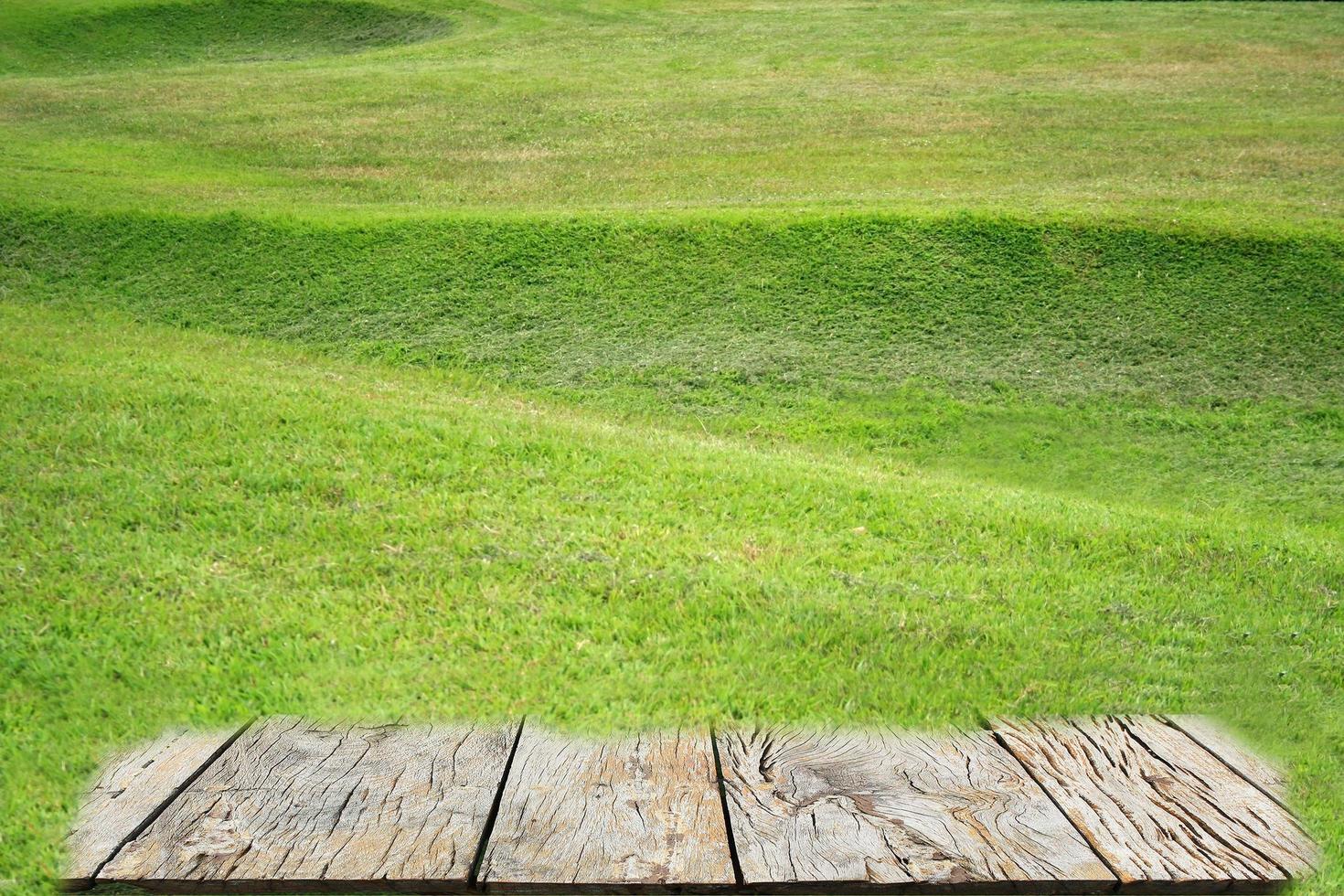 Césped de hierba verde en el jardín con piso de madera foto