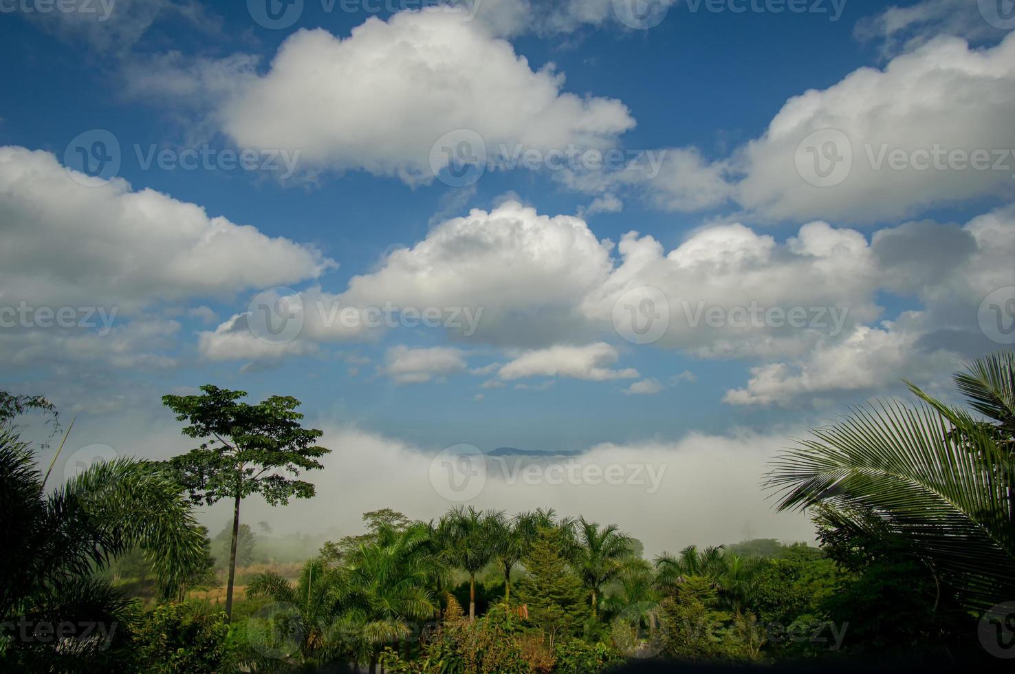 muchos cúmulos flotan sobre la niebla. niebla de la manana foto