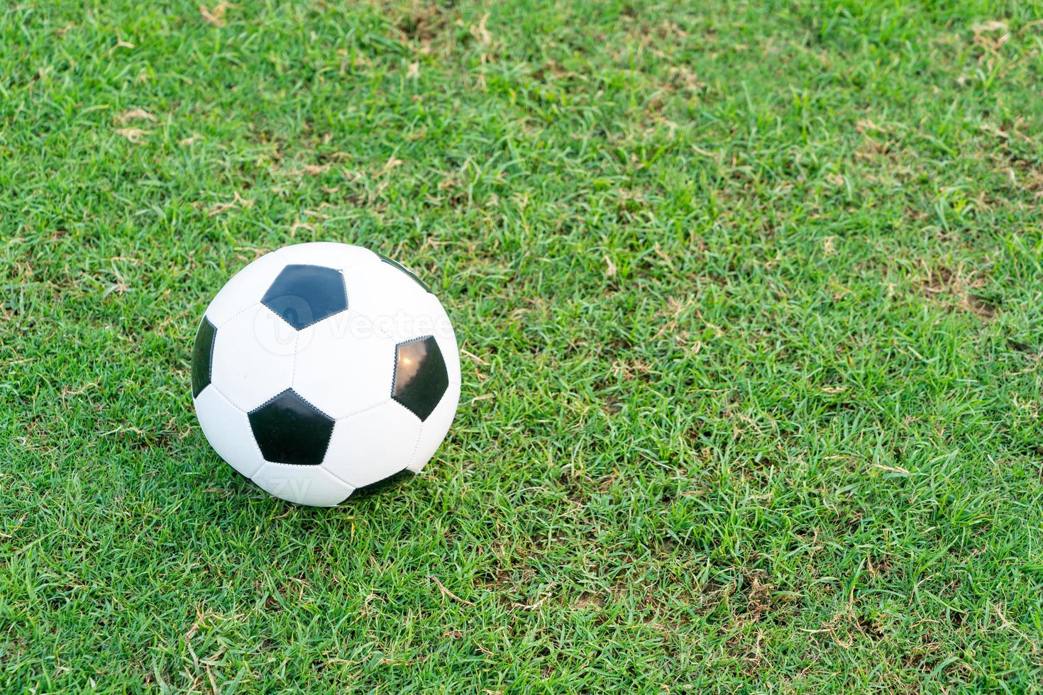 Soccer ball on the ball field photo