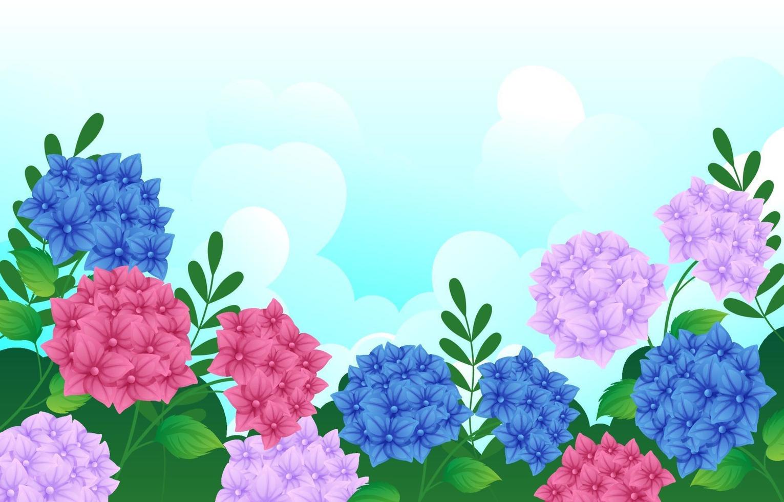 Hydrangea Flower Background vector