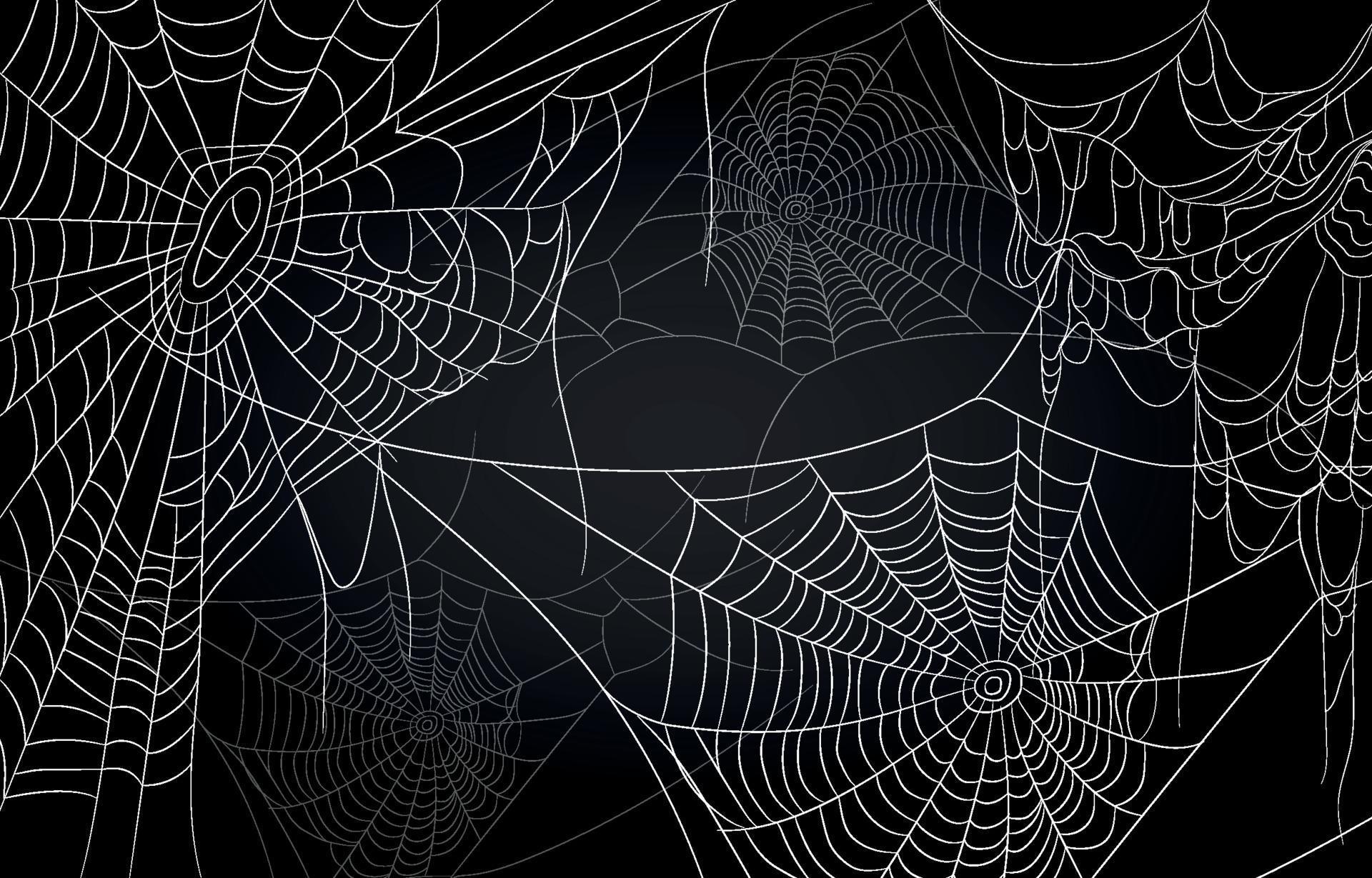 Spider Web Background 3106492 Vector Art at Vecteezy