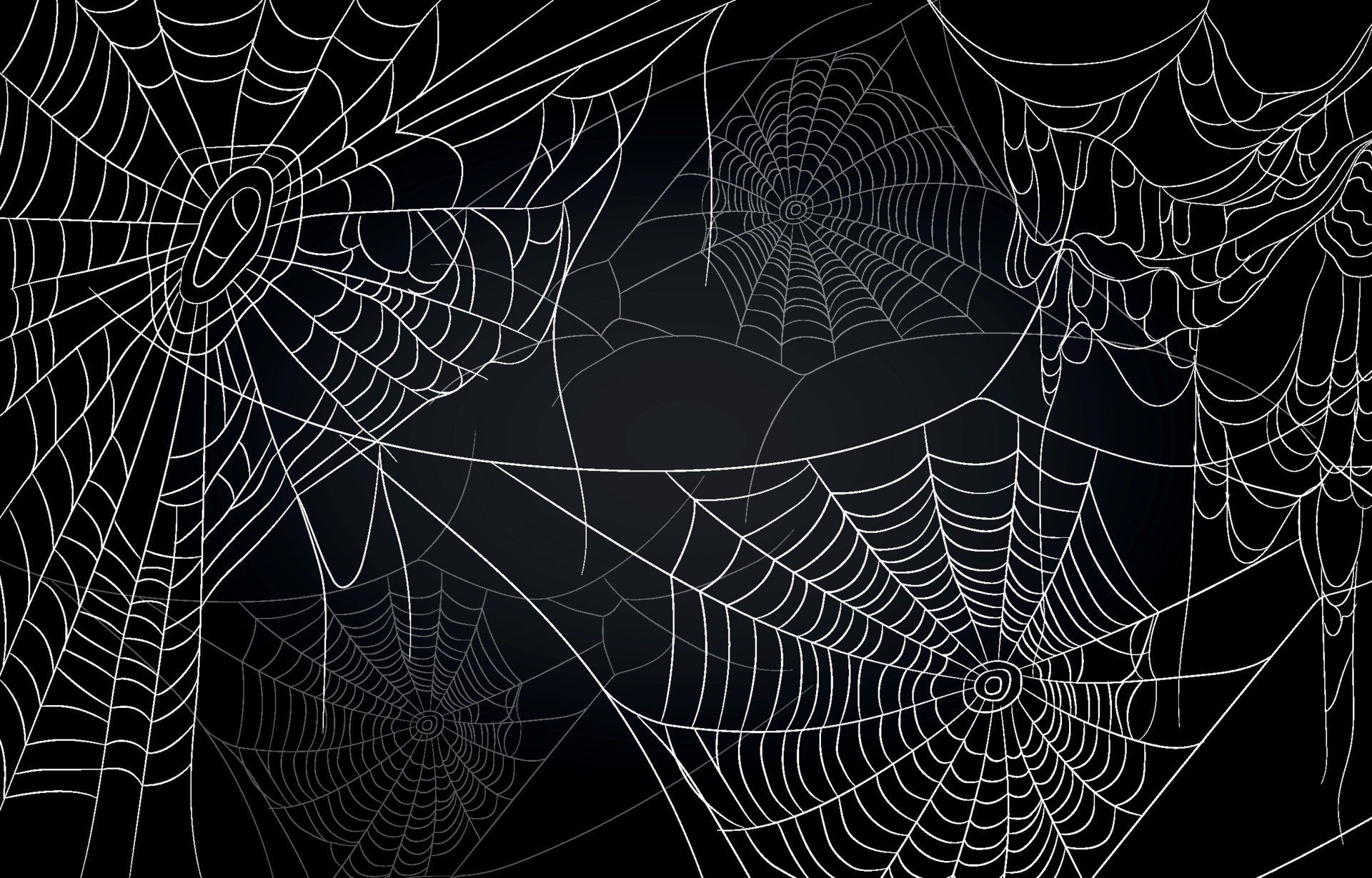 Details 200 spider web background