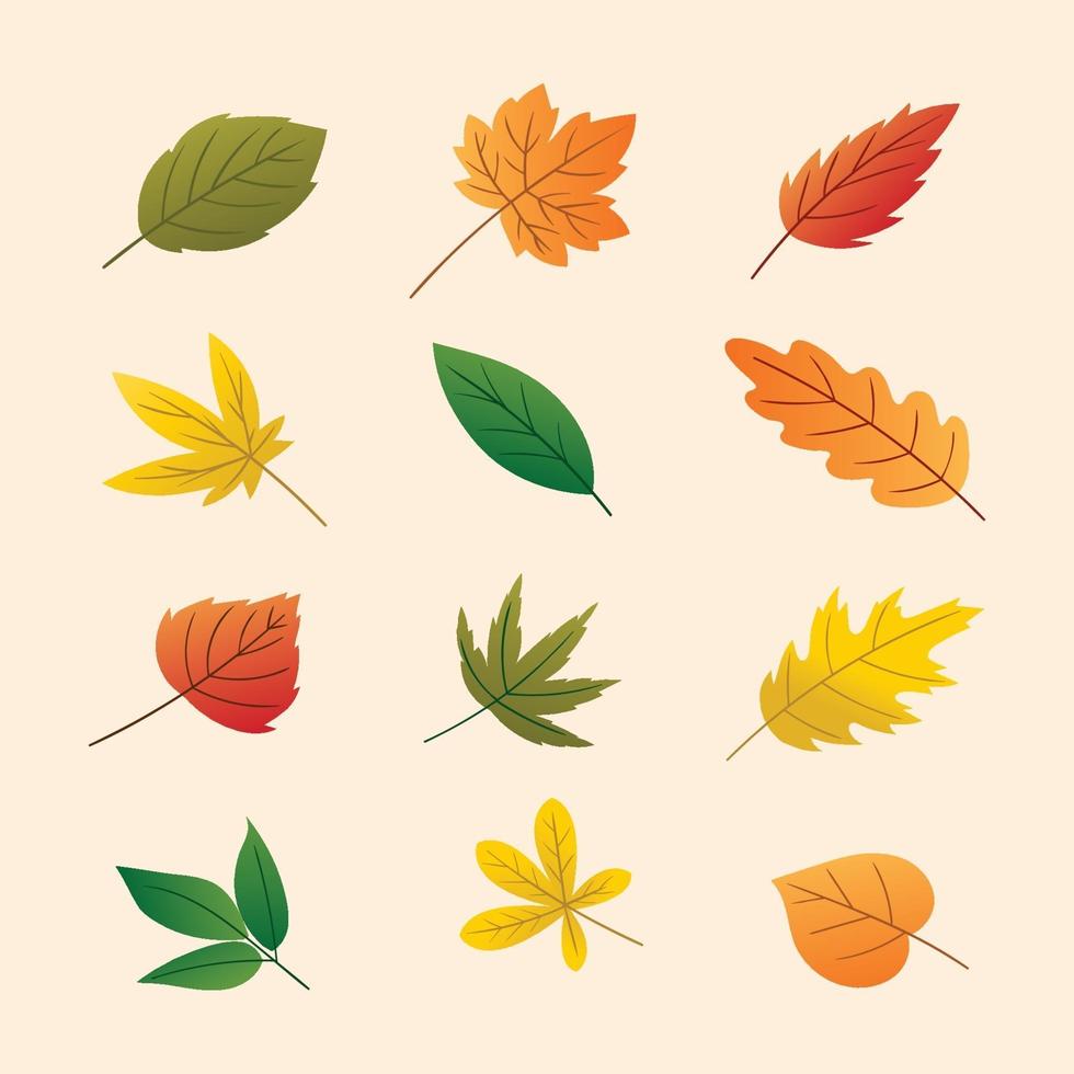 Autumn Leaves Set vector