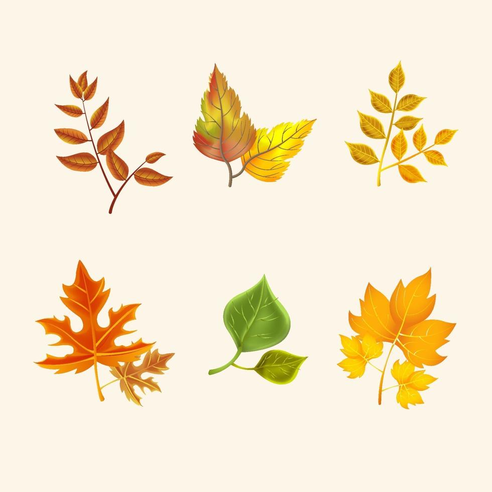 conjunto de iconos de hojas de otoño vector