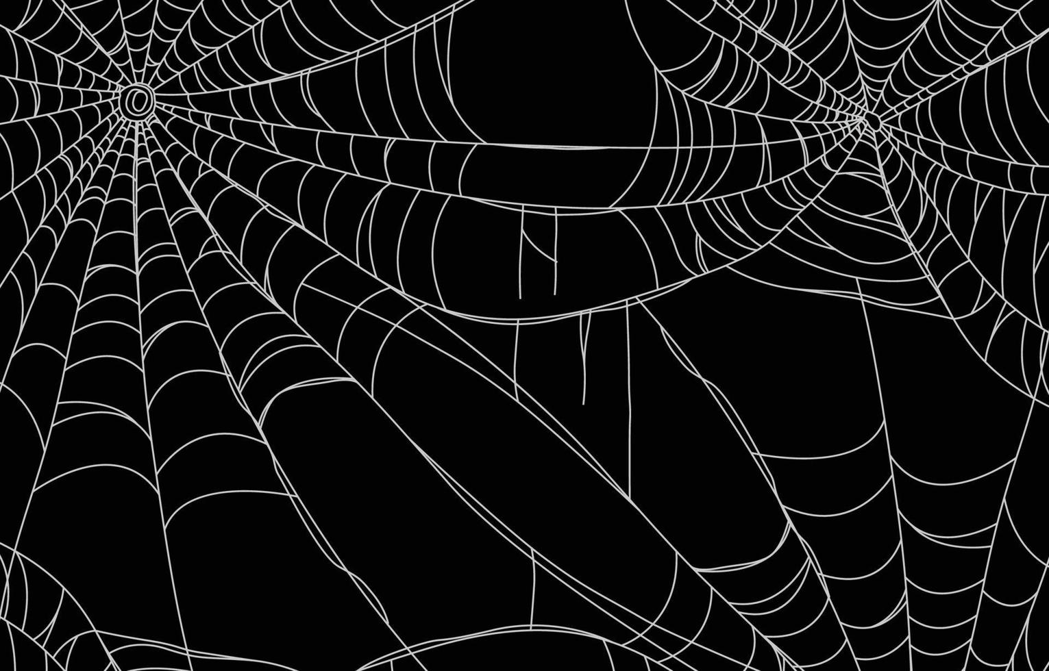 fondo de tela de araña vector
