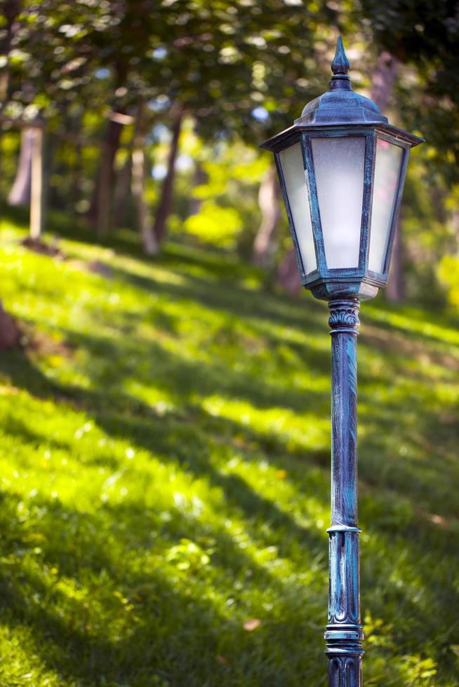 Seasonal Trees and Lamps Green Nature in Park photo