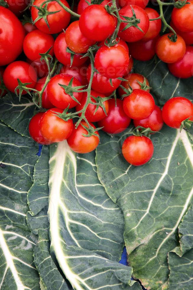 Healthy Juicy and Fresh Tomato Vegetable photo