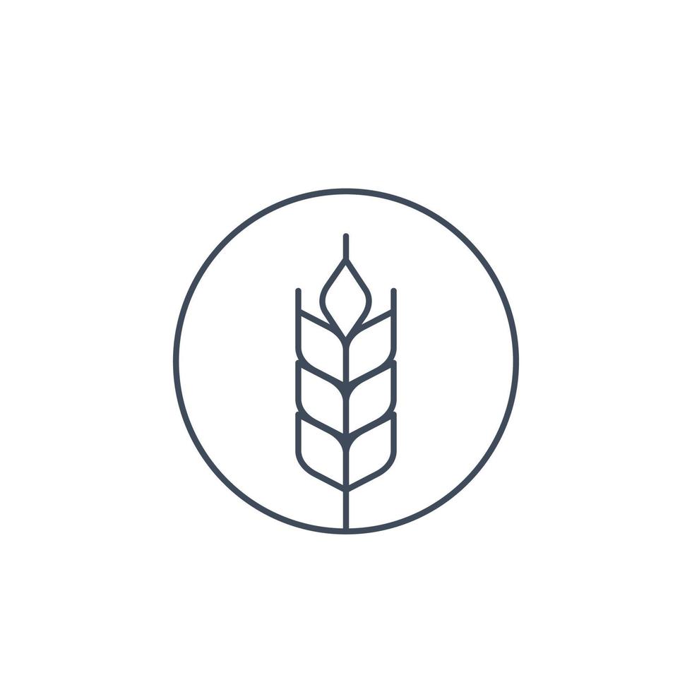 icono de vector de trigo, lineal