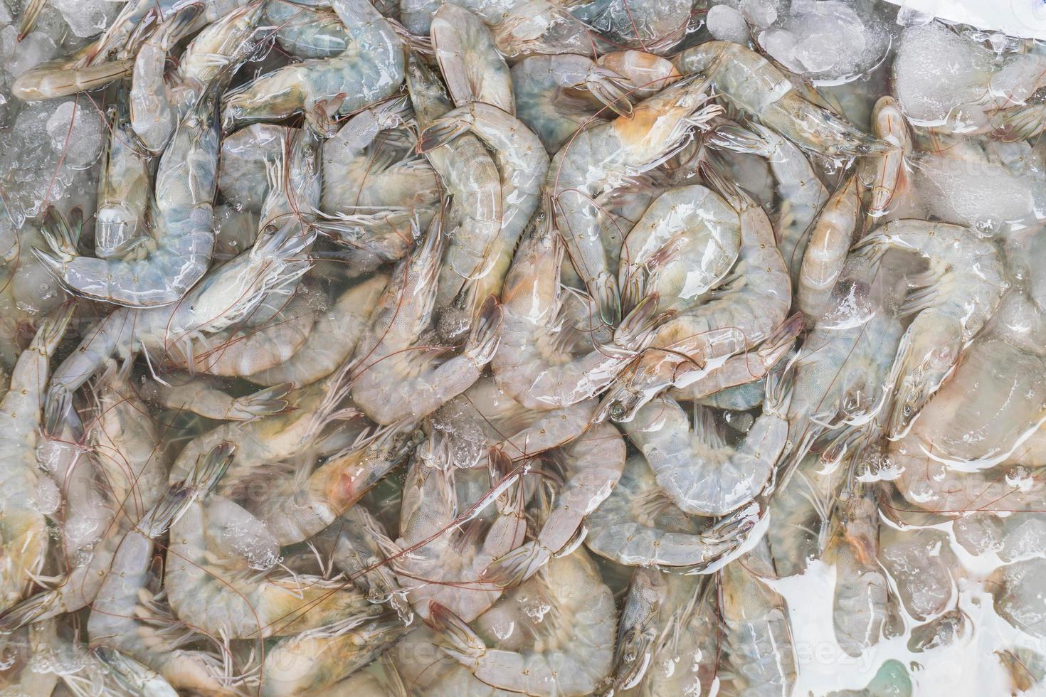 gambas frescas en el mercado foto