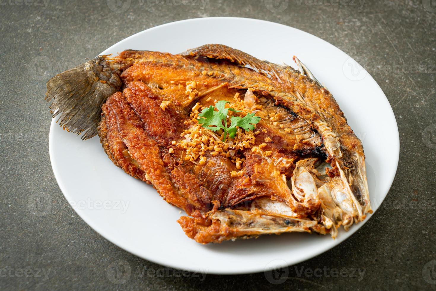 Fried Sea Bass Fish with Garlic photo