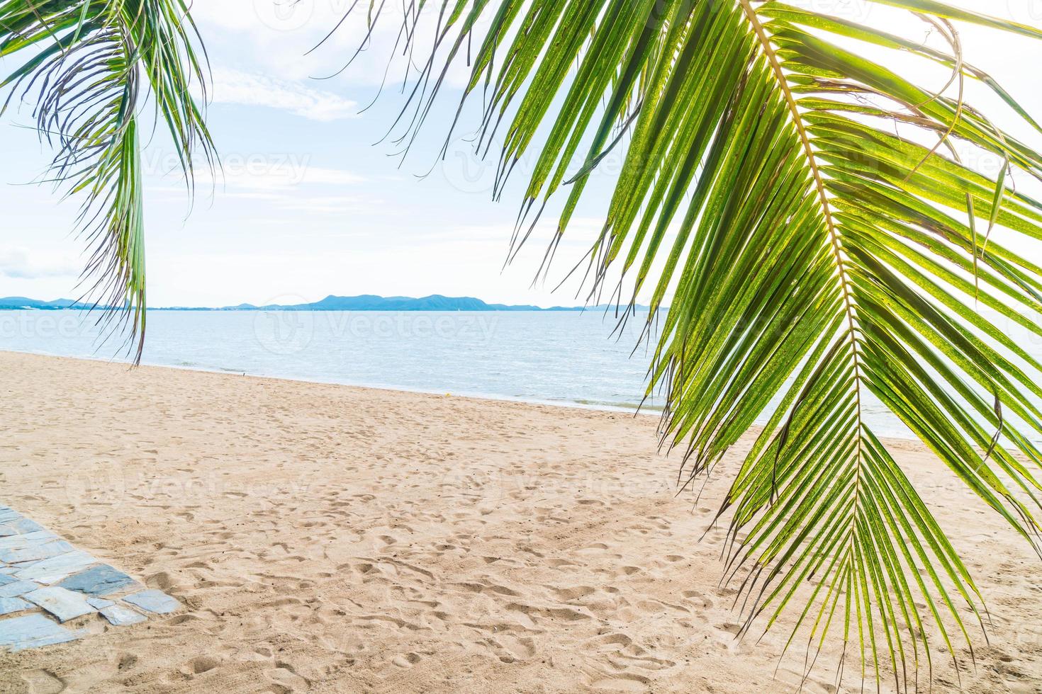 Palm and tropical beach at Pattaya in Thailand photo