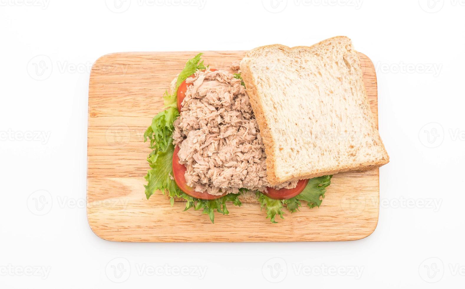 tuna sandwich on white photo