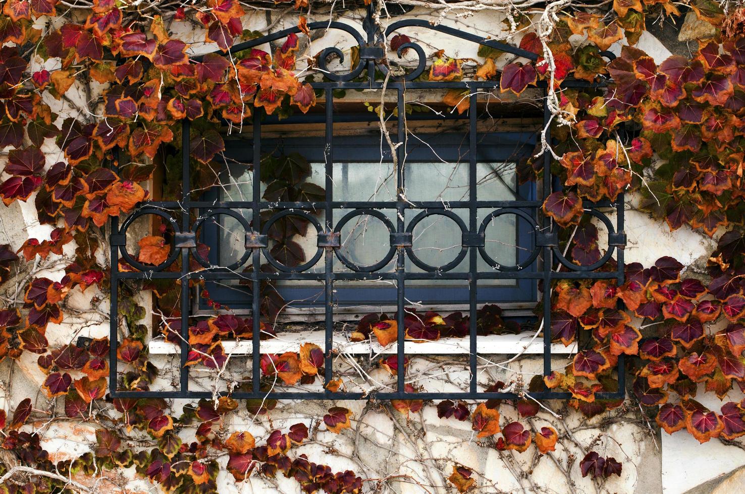 Abstract Ancient Building Houses Windows photo