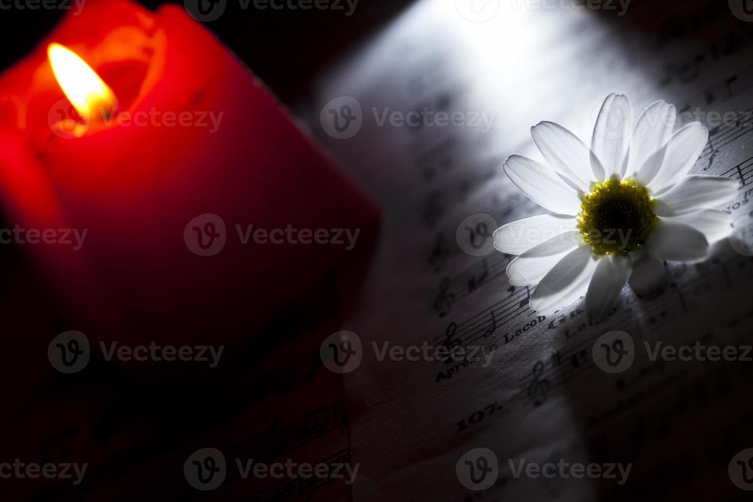 Flower Daisy Music Notes and Candle photo