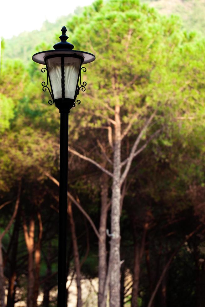 Decorative Street Lamp in the Forest photo