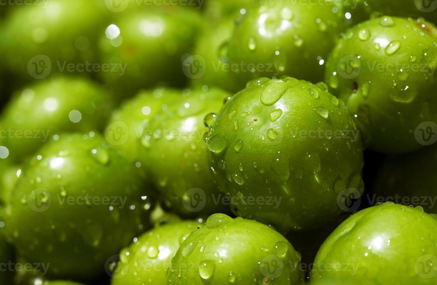 Fresh and Delicious Plum Fruit photo