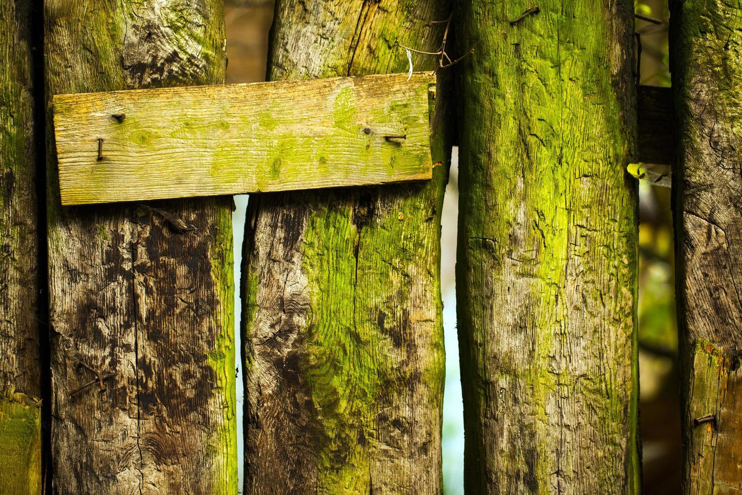 Abstract Grunge Wooden Background Texture photo