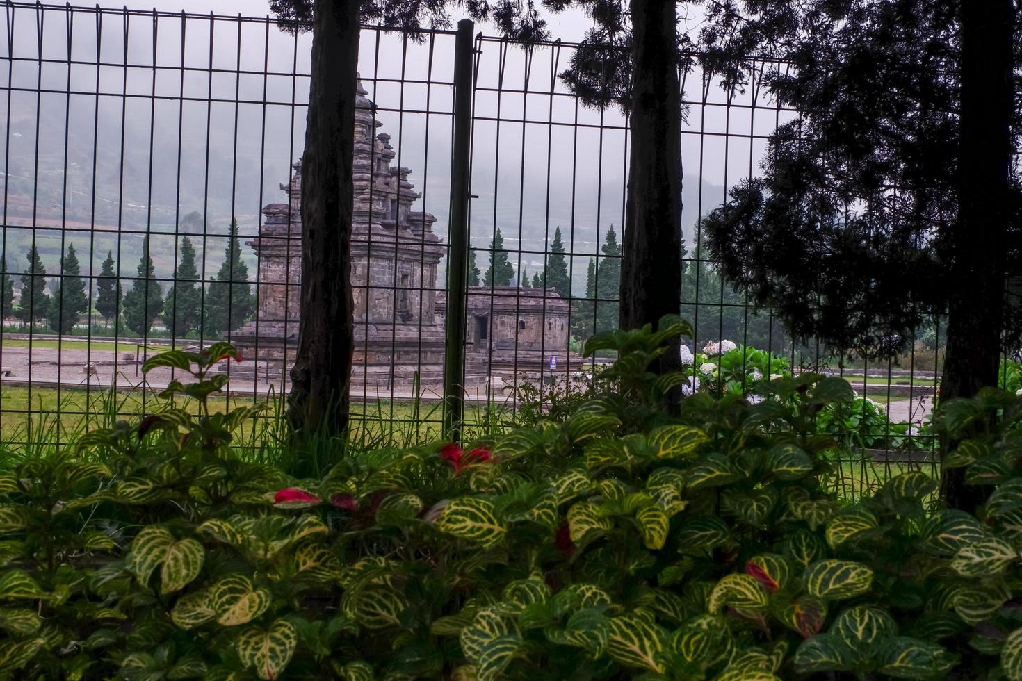 Beautiful view of Arjuna and Semar temples in the Dieng temple photo