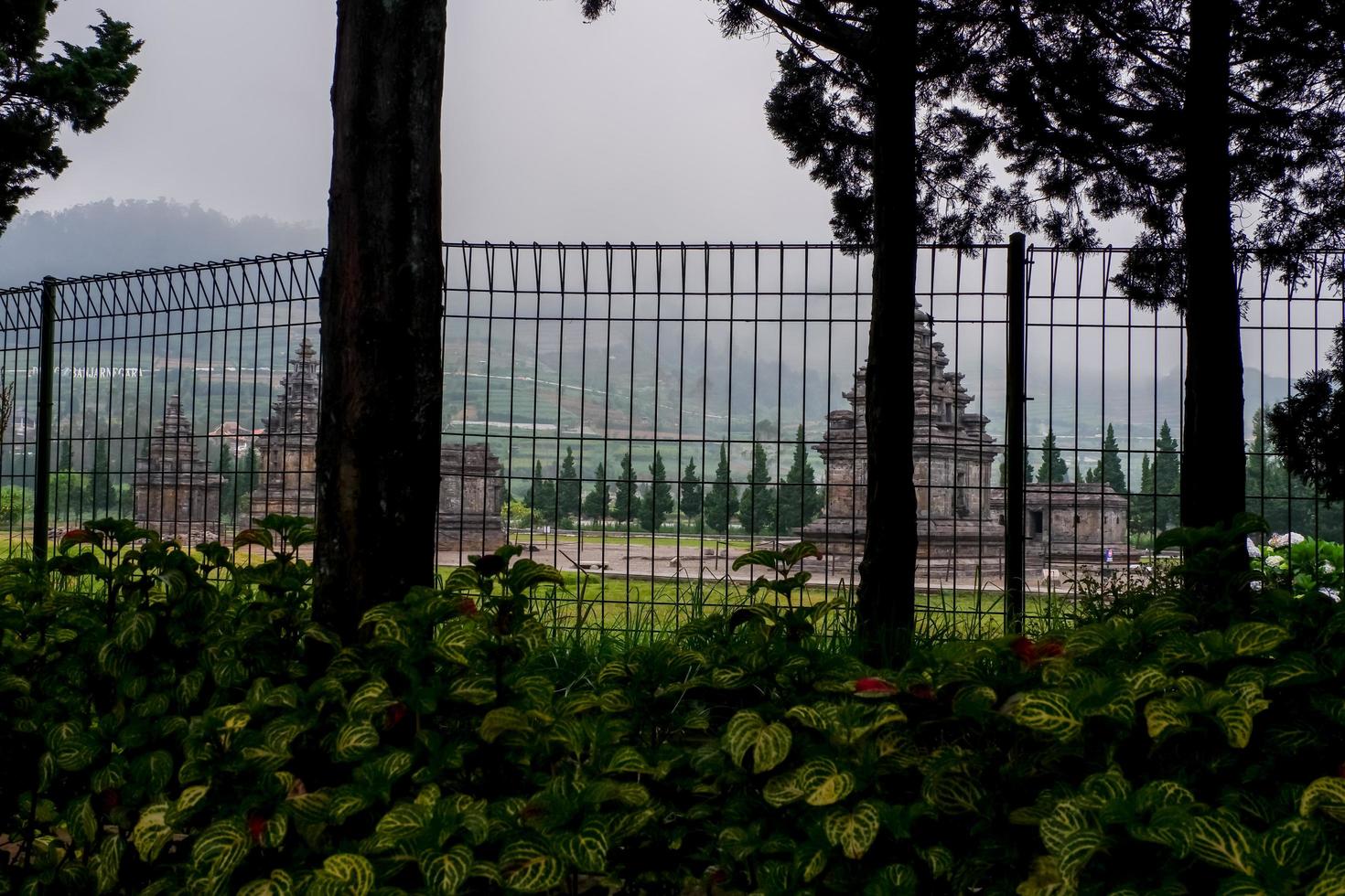 Beautiful view of Arjuna and Semar temples in the Dieng temple photo