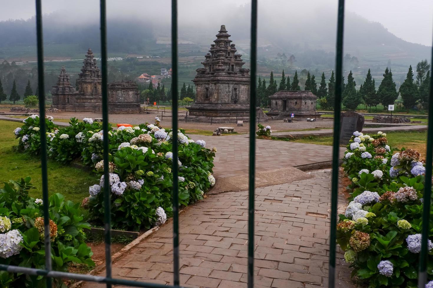 Beautiful view of Arjuna and Semar temples in the Dieng temple photo