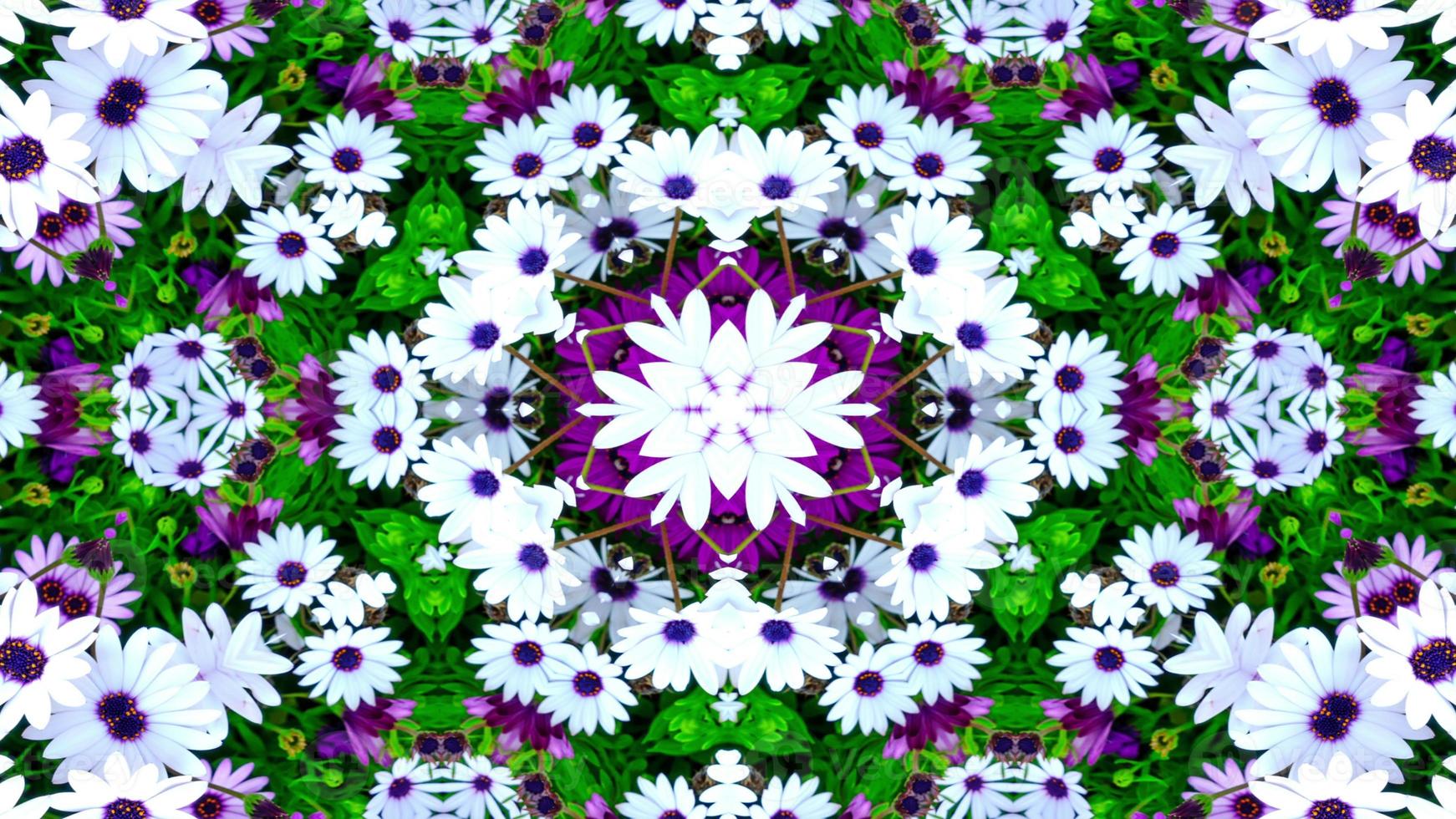 Flowers Flora Kaleidoscope photo