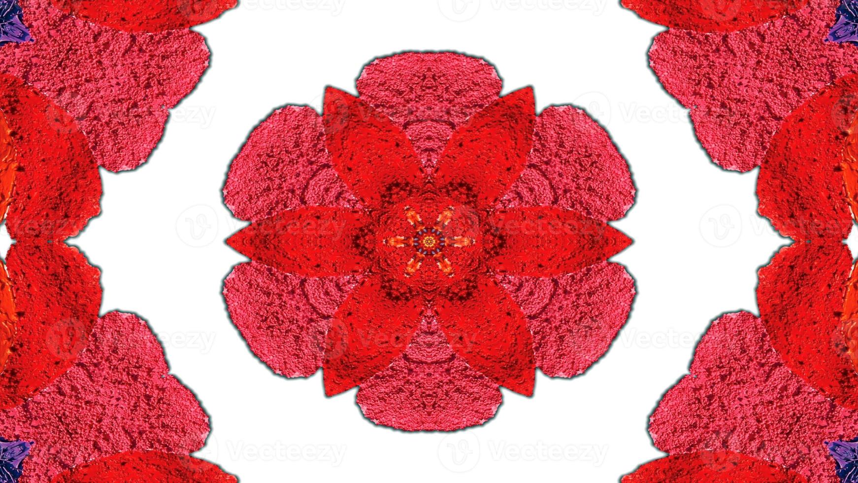 Flowers Flora Kaleidoscope photo