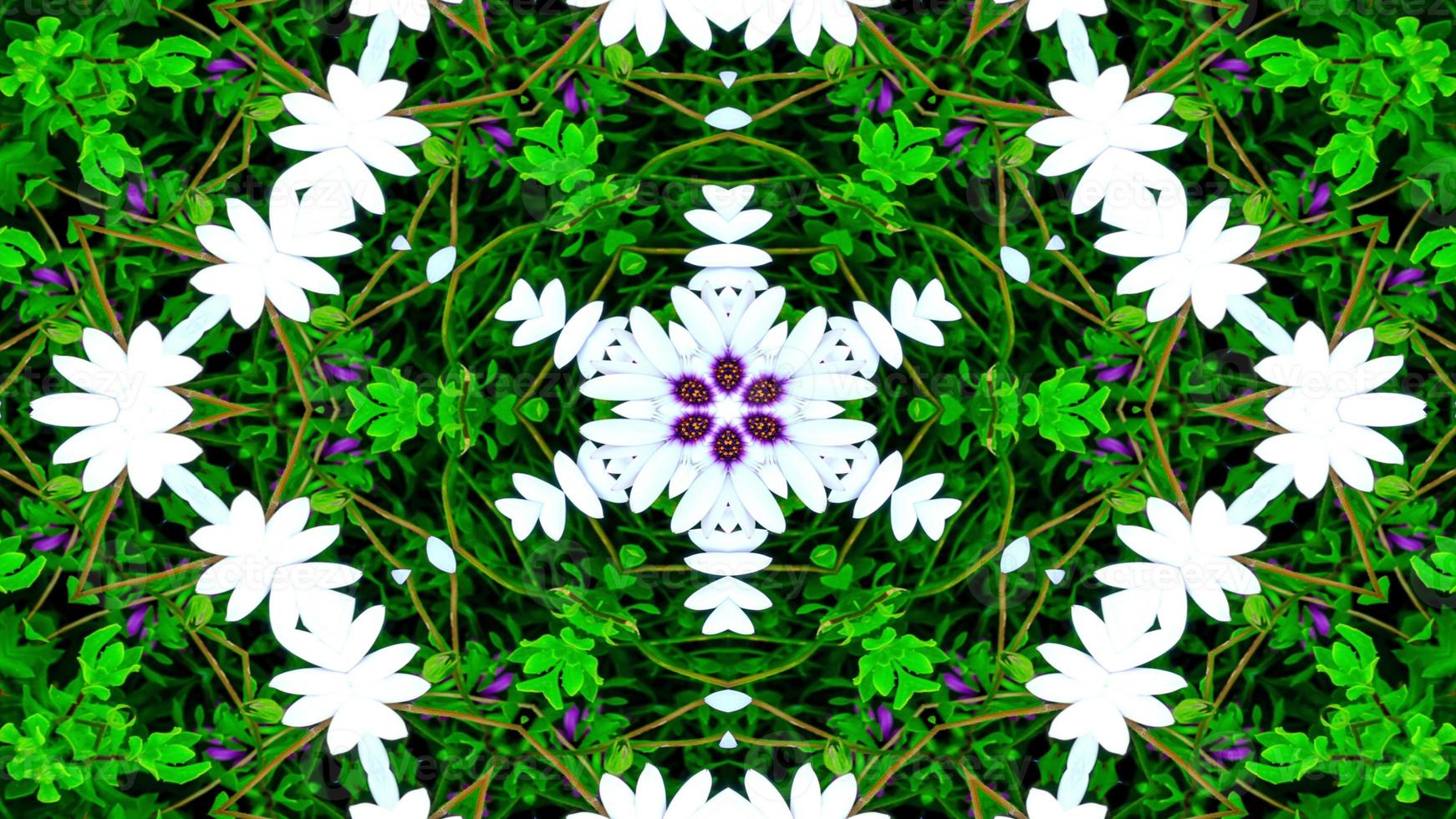 Flowers Flora Kaleidoscope photo