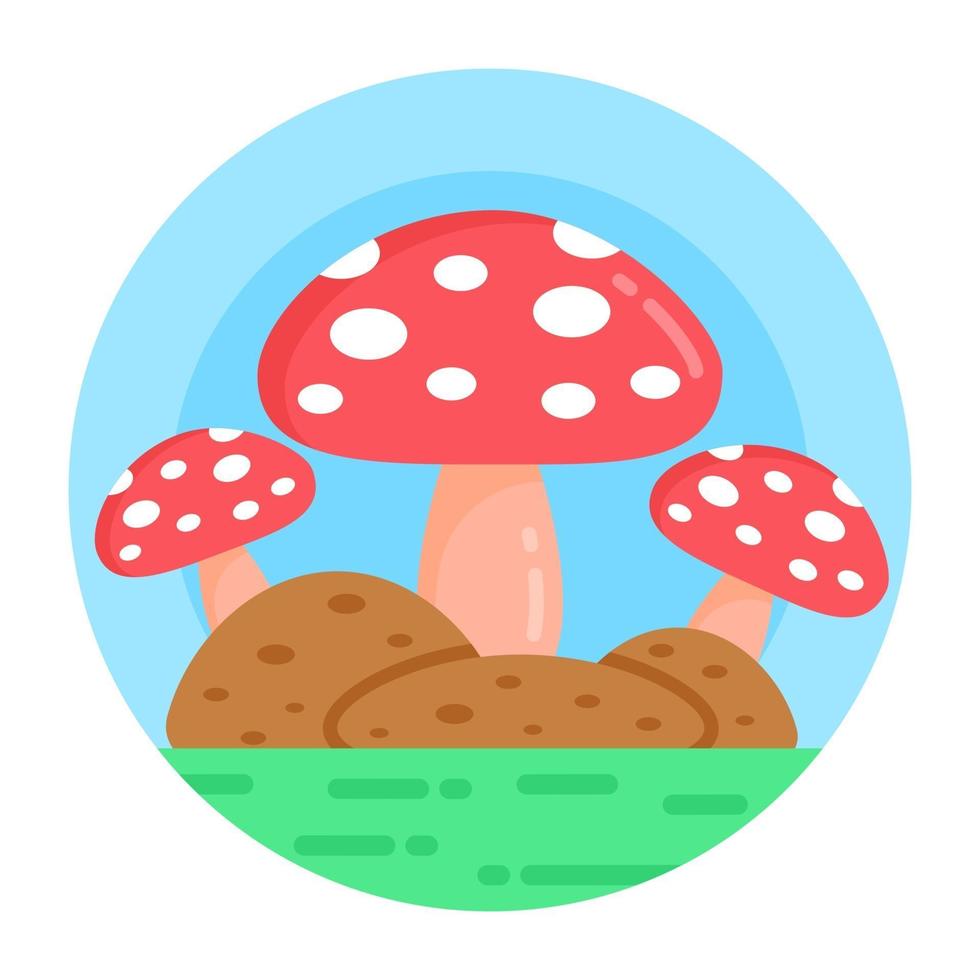 Mushrooms and Fungi vector