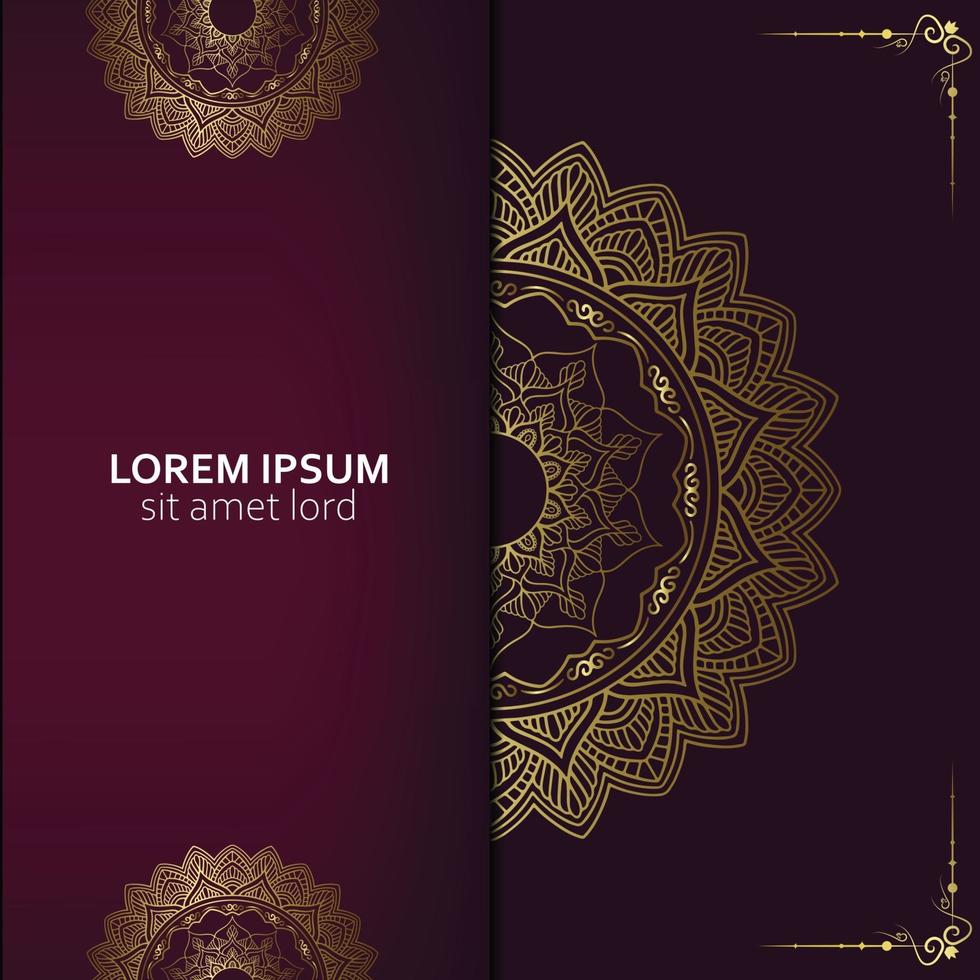 Luxury ornamental mandala background vector