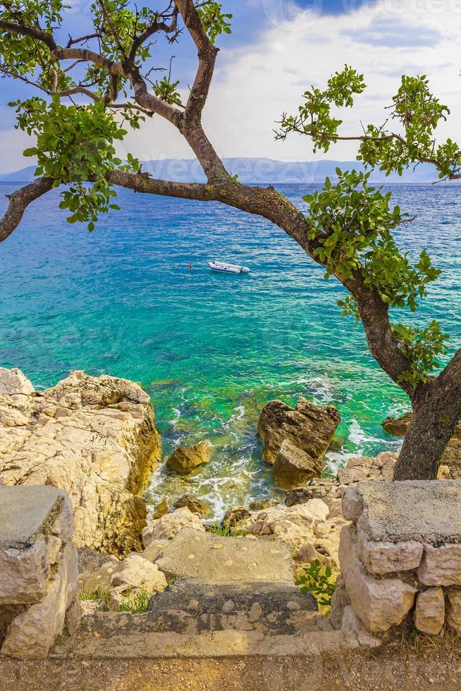 paisaje mediterráneo en novi vinodolski croacia detrás de un árbol. foto