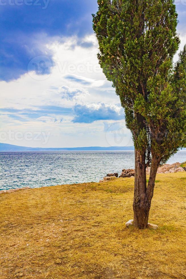 hermoso paisaje en novi vinodolski croacia detrás de un árbol. foto