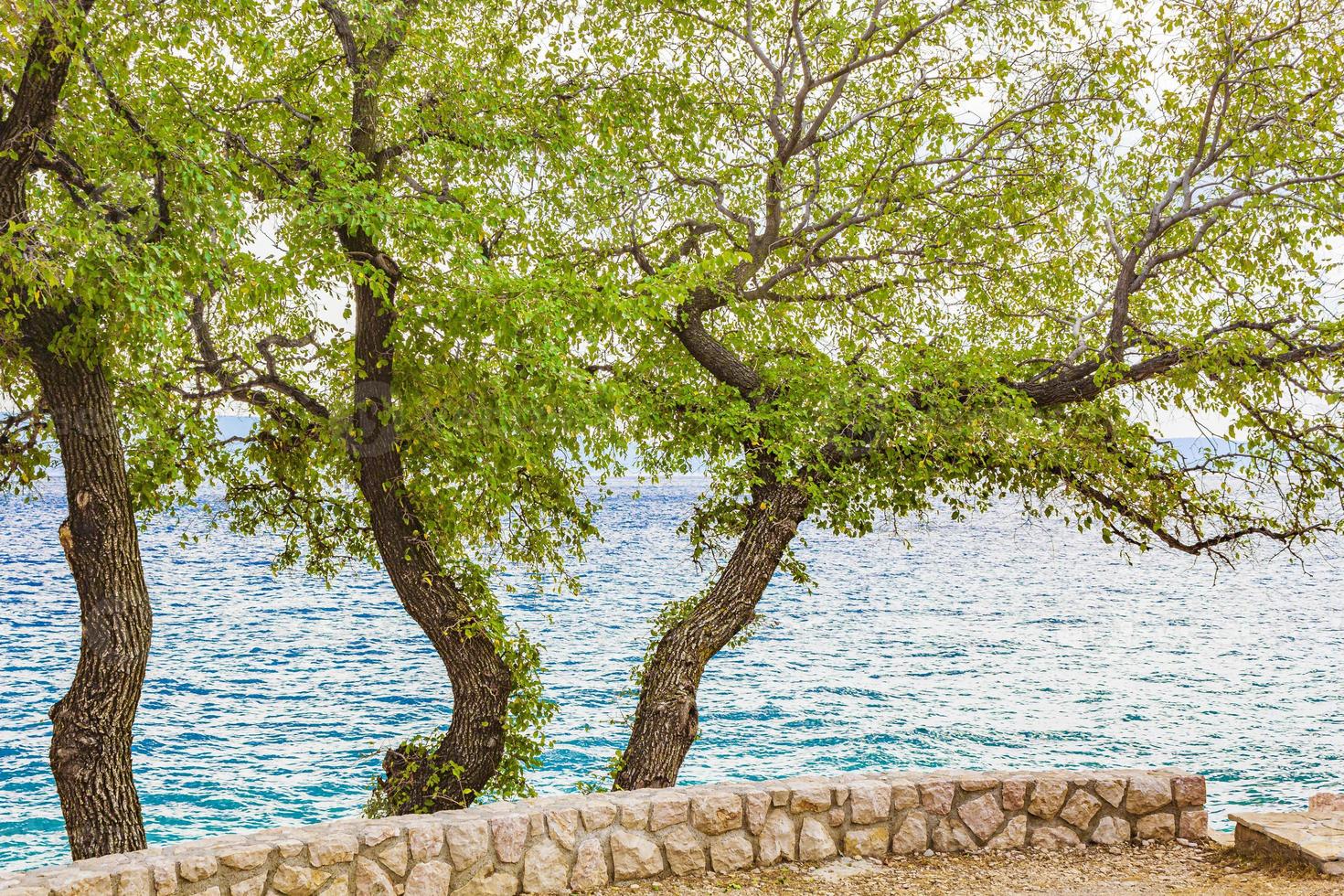 paisaje mediterráneo novi vinodolski croacia detrás de los árboles. foto