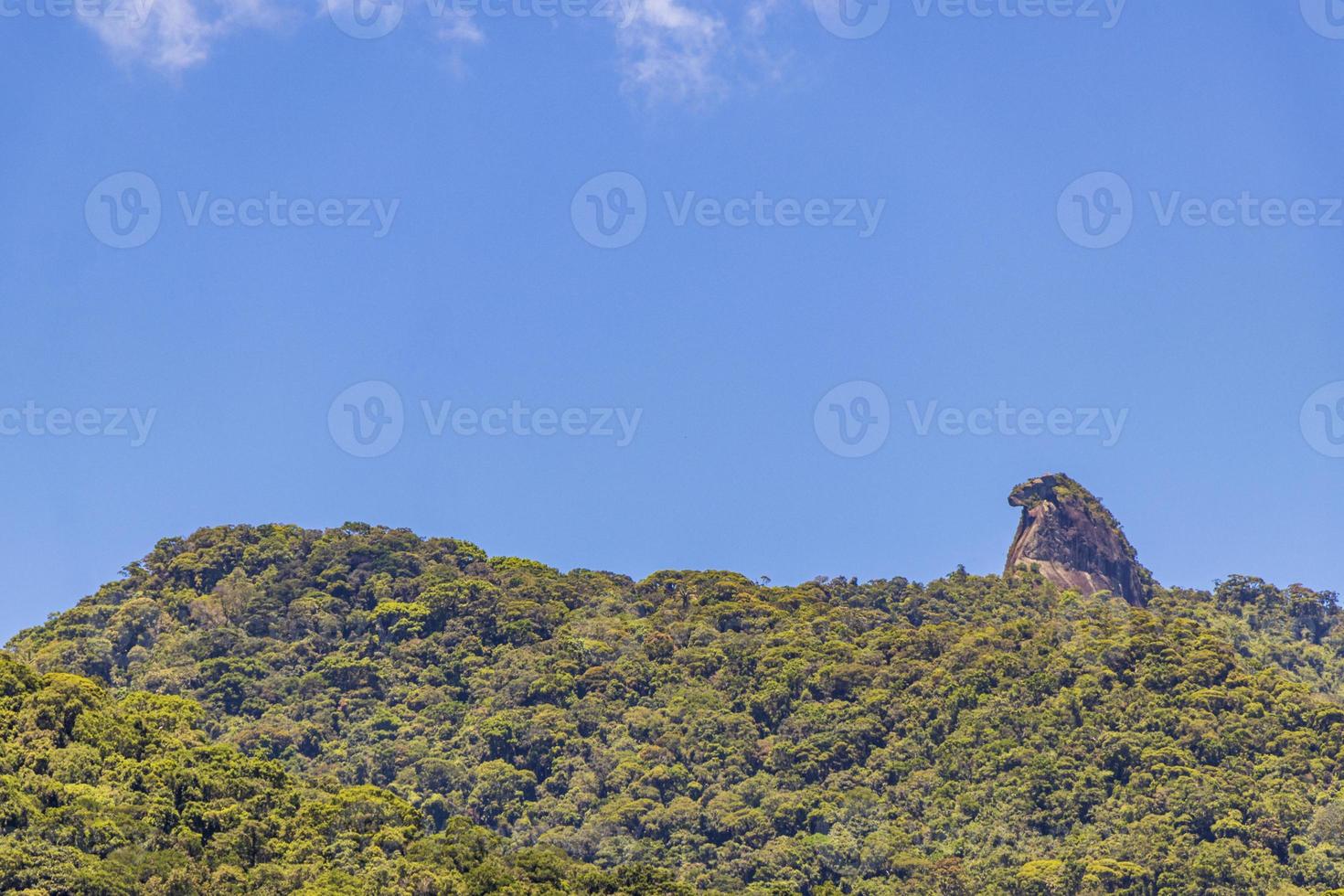 montaña abraao pico do papagaio con nubes. ilha grande brasil. foto