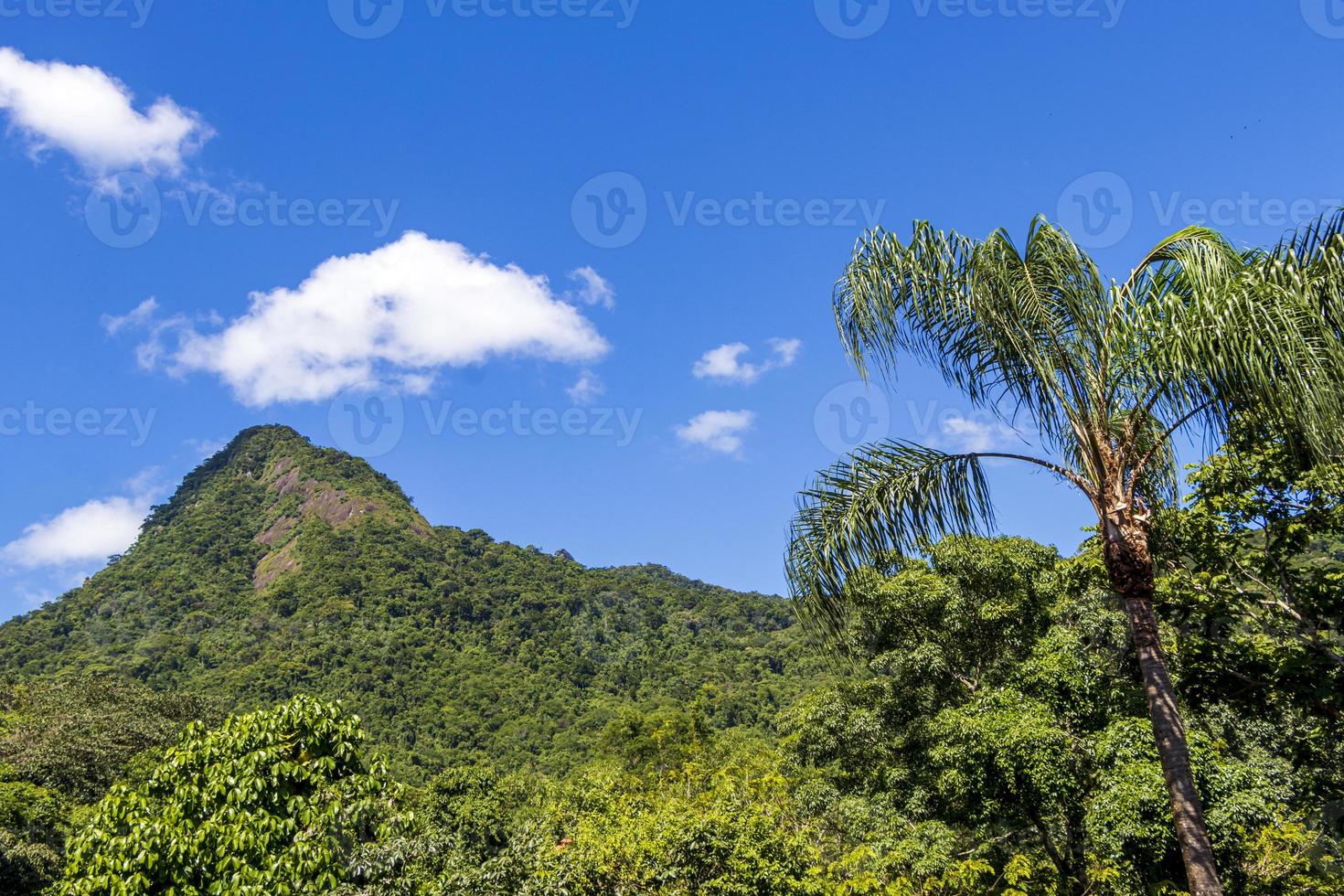 Abraao mountain Pico do Papagaio with clouds. Ilha Grande Brazil. photo