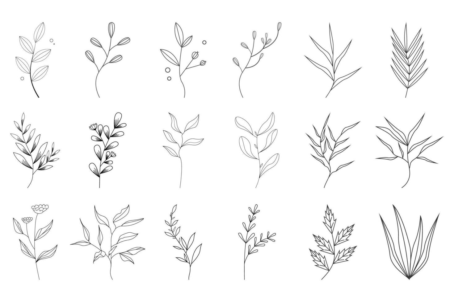 Botanical floral hand drawn vector